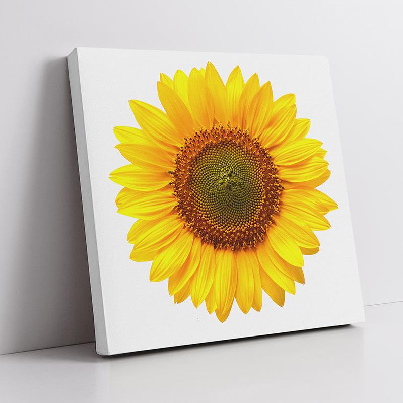 Moderne Sonnenblumen-Leinwandmalerei, nordische Landschaft, HD-Bilder, Blumenplakate und -drucke, Wandkunst, Bilder, Wanddekoration, kein Rahmen