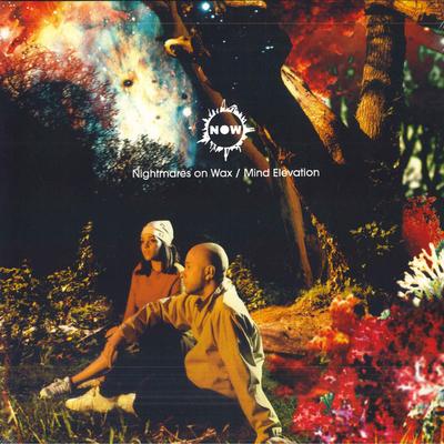 LP Record NIGHTMARES ON WAX - Mind Elevation WARPLP95R Warp Records 2014 UK Dance & Electronica