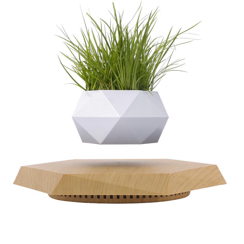 Magnetic Levitating Potted Plant - Creative Smart Home Decor Ornament
