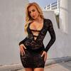 Sexy Lace Dress Western Style New Fashion Casual Nightclub Sexy Lace Perspective Long Sleeve Dress