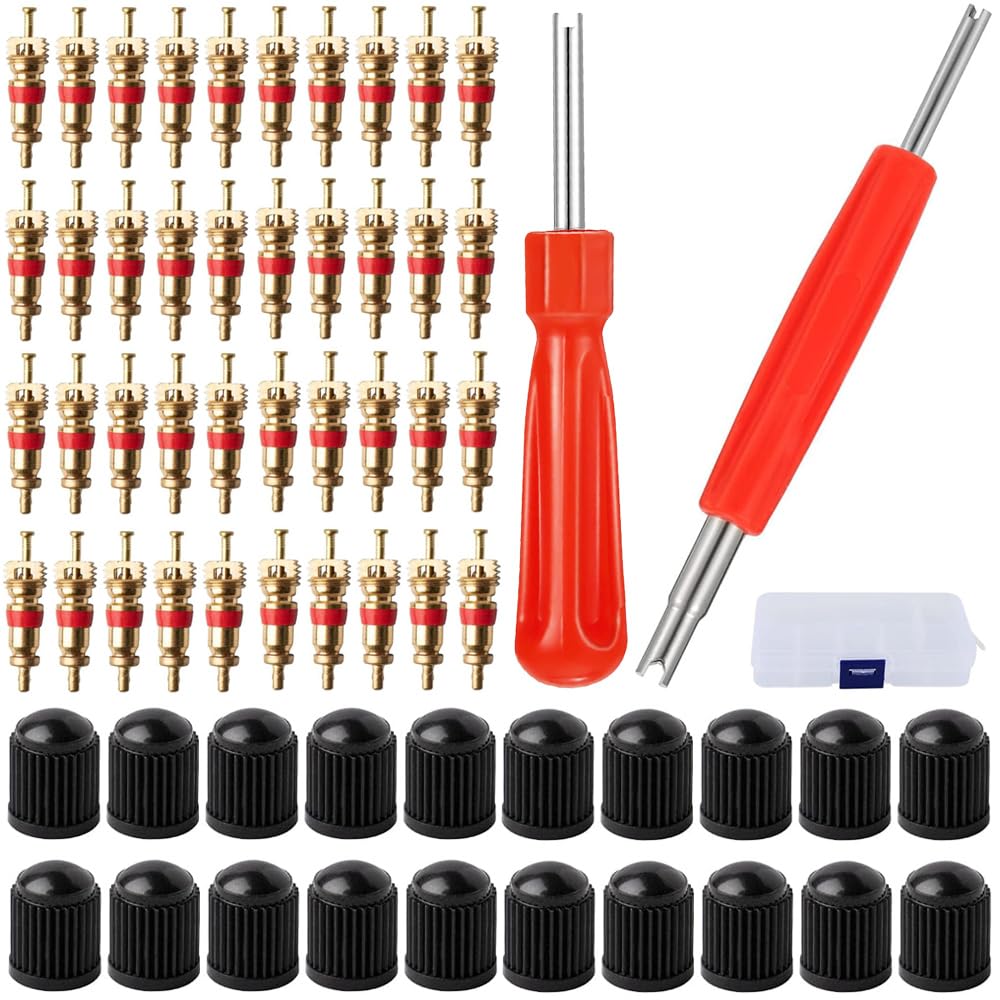 Tire Valve Core Tire Repair Tool Valve Core Spool Tool 62 Piece Set Removal