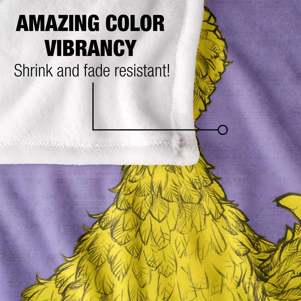 Sesame Street Painted Big Bird Blanket