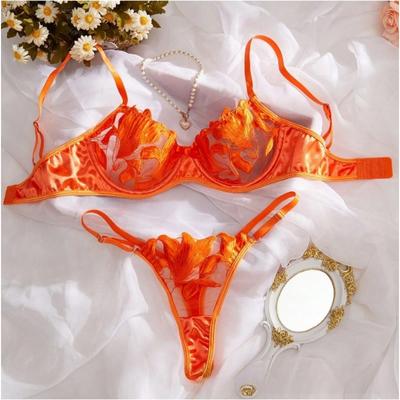Conjuntos de sujetador y braguita con encaje sexy con aros y push up para mujer, ropa interior con fruncido en el pecho, conjunto de bralette bordado 2024