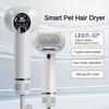 Portable Pet Hot Air Hair Comb Intelligent Pet Hair Dryer Household Blowing And Combing Integrated Machine
