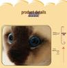 Siamese Cat Plush Toy: Early Education Comfort Gift for Children, Home Decor Ornament