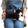 Sun Lemon Lap Cat Plush Animal Small P-6242 Black and White Cute Cat 13 X 36 X 15cm