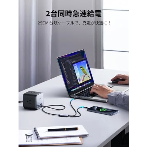 UGREEN USB Type C Cable [PD 100W 2-in-1 Type C Rapid Charging Cable] USB C to USB C Cable E-Maker Chip Equipped with Disconnection Prevention Compatib