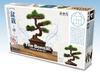 PLATZ The Bonsai 4 Plastic Model 1/12 BON-04