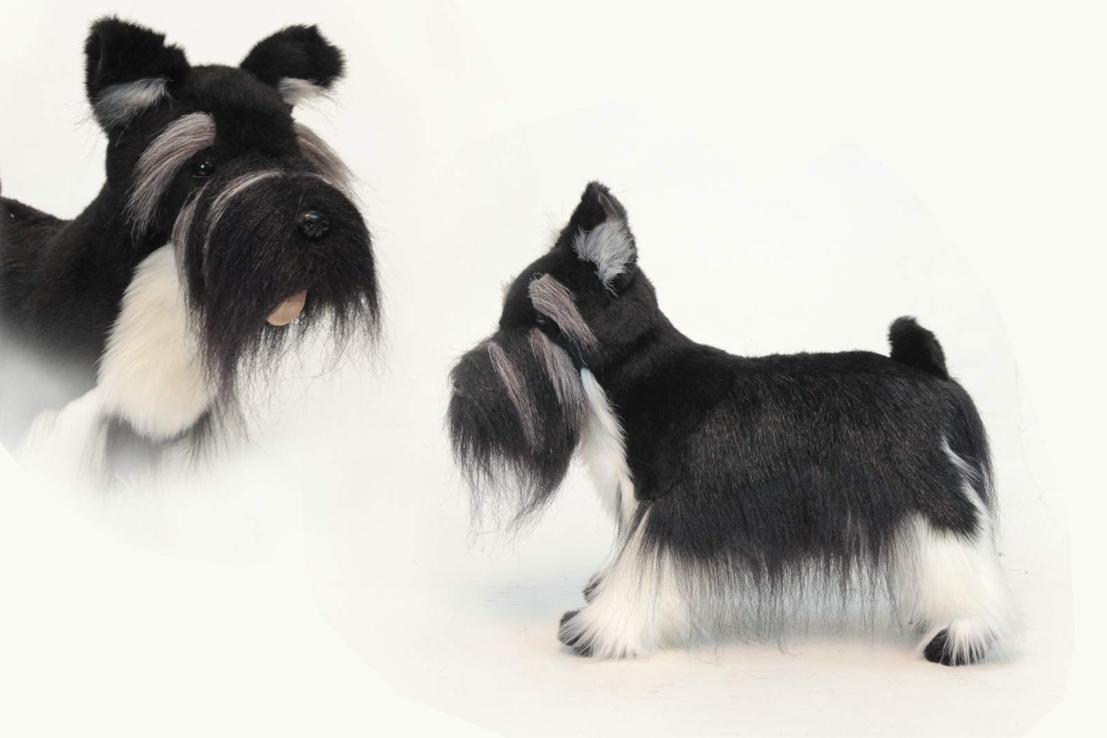 

BH5768 HANSA Miniature Schnauzer 45