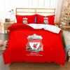 Team Logo Soccer Double 3 Piece Bedding Set Ball Sports Collection Textiles Home