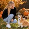 Pet Halloween Hat and Headband Set for Cats and Dogs