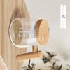 Shang Qi Portable Glass Coffee Water Cup