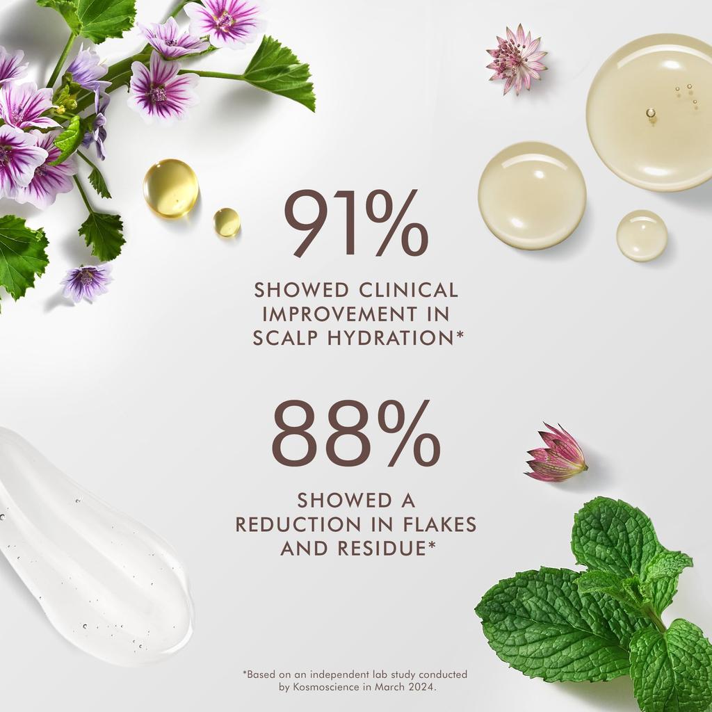 MOROCCANOIL Scalp Balancing Shampoo (250ml) Scalp Care (Lavender, Tea Tree, Bergamot) with Argan Oil