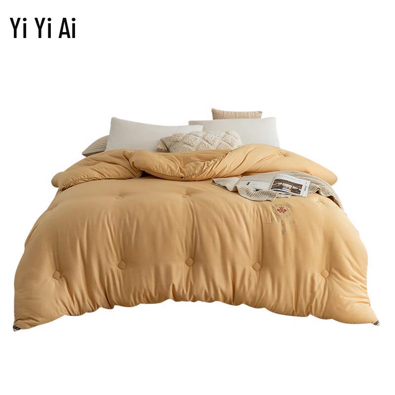 Yiyiai Embroidered Autumn/Winter Duvet Core