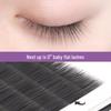 Natural Soft Single Strand Flat Lash - Mom's Style, Densely Packed, Wind-Blown Effect False Eyelashes