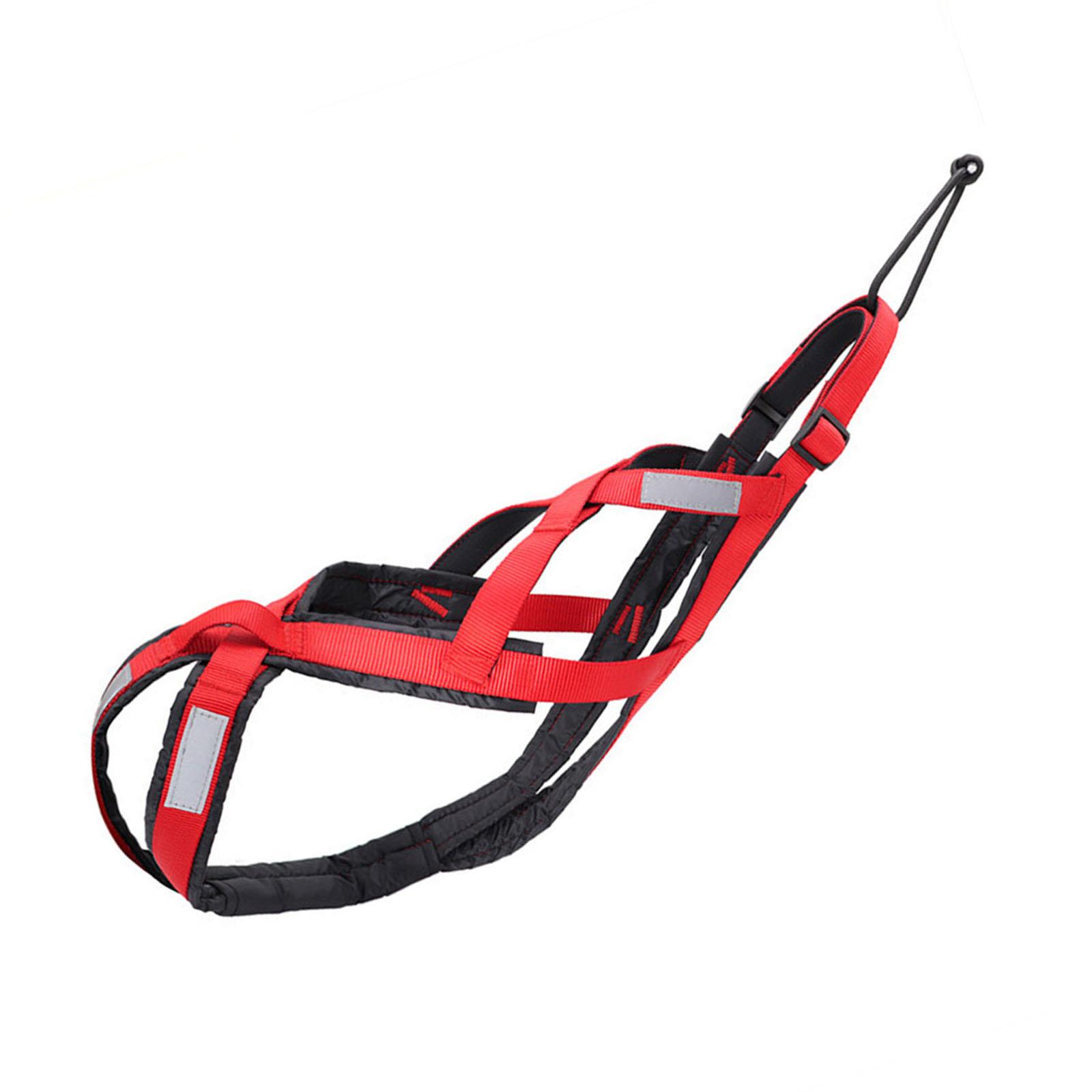 

Регулируемая шлейка для собак для крупных пород, светоотражающая нагрудная шлейка для питомцев для бега, езды на велосипеде и катания на лыжах, для занятий спортом на открытом воздухе M красный