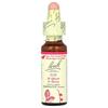 Original Flower Remedy, Elm, 10Ml (0.35Fl Oz)