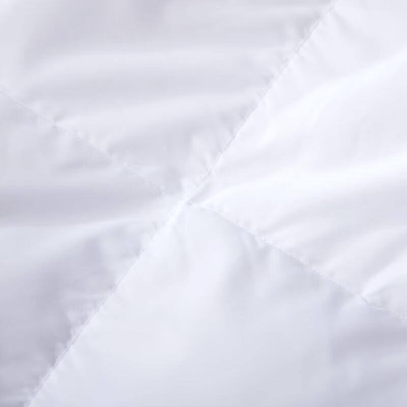 FUANNA All-Season Down Alternative Fiber Quilt