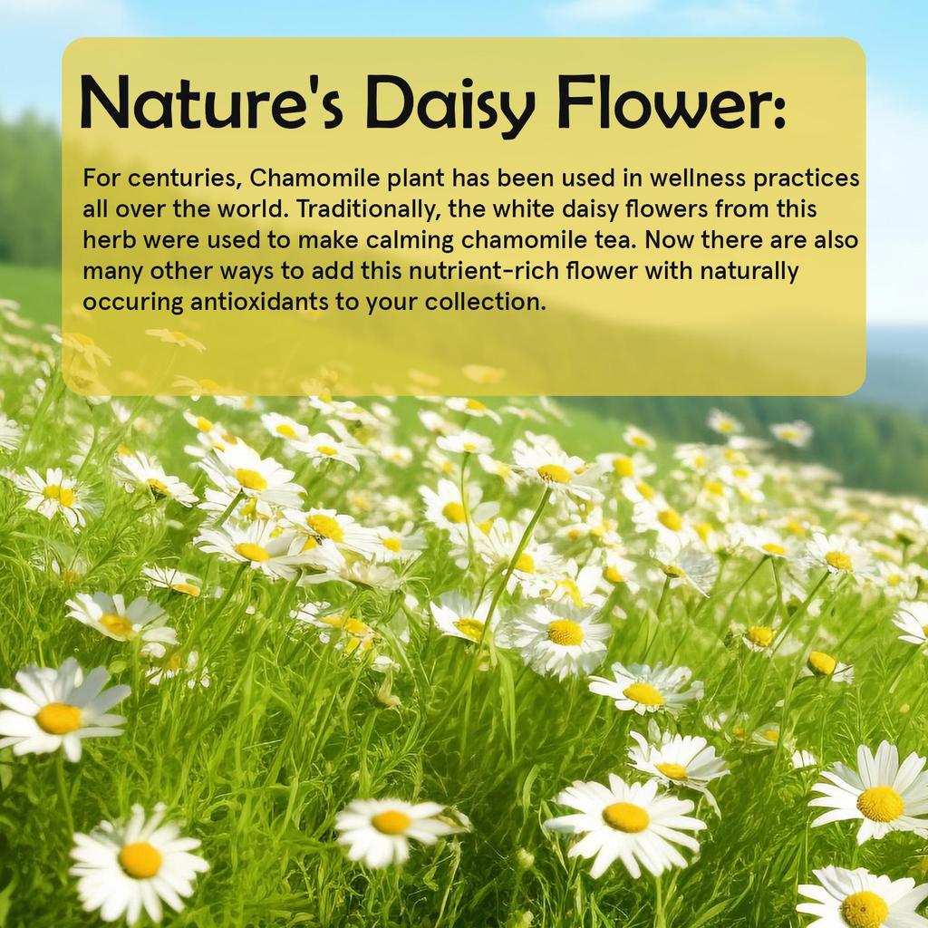Chamomile extract capsules, natural supplement, 1100 mg per serving, suitable for both men and women.