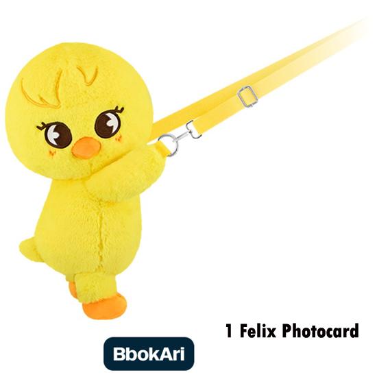 Stray Kids SKZOO Plush Bag celebrATE ( with Photocard from POP UP)