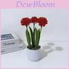 Simulation Epaltes Australis Less Pot Plant For Office Decor And Photography Props