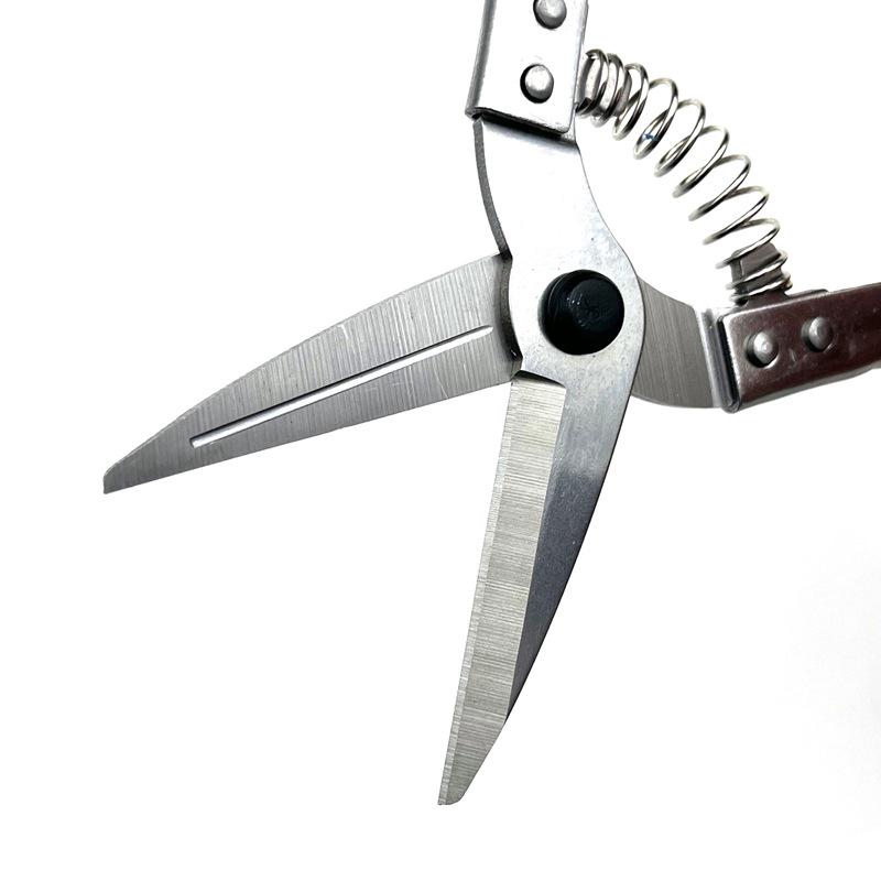 Hot-Selling Stainless Steel Grafting & Pruning Shears for Fruit Trees and Potted Plants