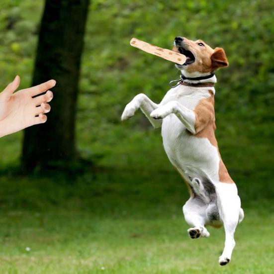 Safe Durable Dog Toys Coffee Wood Chew Toy, Wooden Puppy Teething Natural Toy Stick, Dental Health for Small Medium Large Dogs