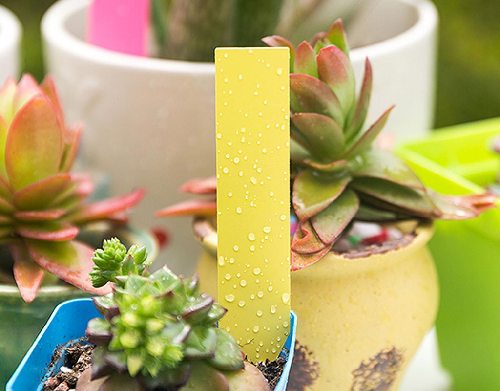 50pcs Waterproof PVC Plant Label Waterproof Nursery Garden Plant Label Pot Plant Name Seedling Label Tray Marker
