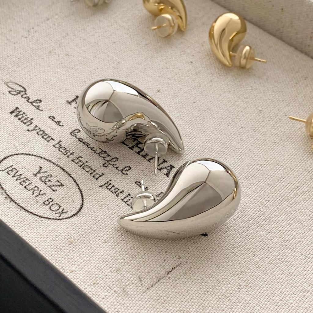 Elegant Metal Water Drop Earrings: Cold Style, Luxurious Gloss, High-End Niche Design