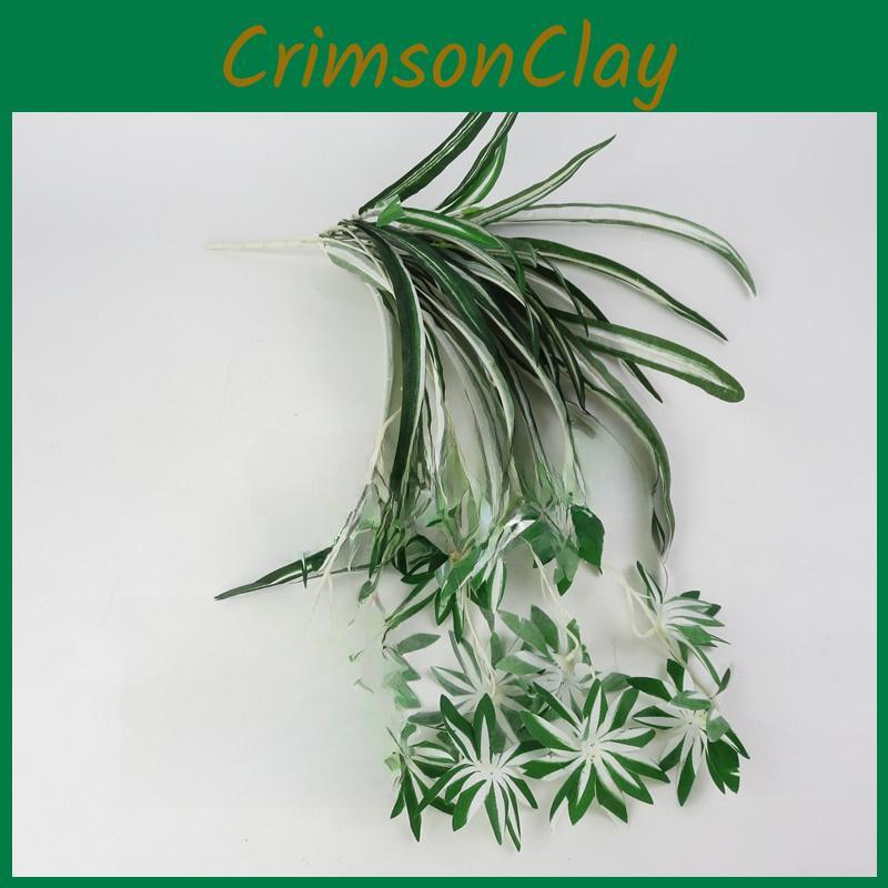 Comosum Chlorophytum Wandhänge-Dekoration Für Innen Außen Geschenk Garten
