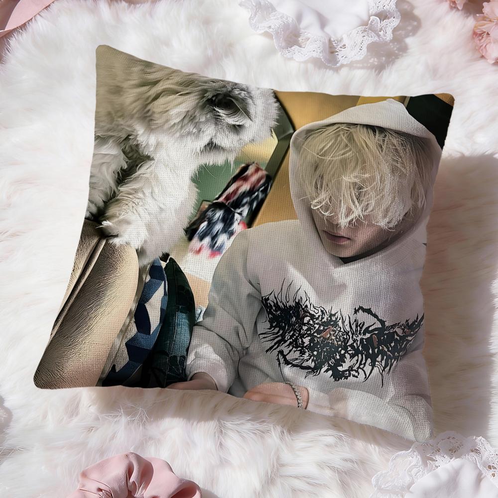 Nettspend We Not Like You Cushion Cover Premium Comfort Reversible Pillow Cove -Two in One Design for Any Room & Car Interior