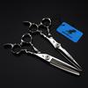 6.0-Inch 440C Silver Tail Handle Scissors: Hairdressing, Barbering, Straight, Serrated, Thinning Scissors