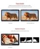 FEELWORLD F5PRO X 5.5" High Brightness Touchscreen Monitor with 3D LUT for Mirrorless Cameras