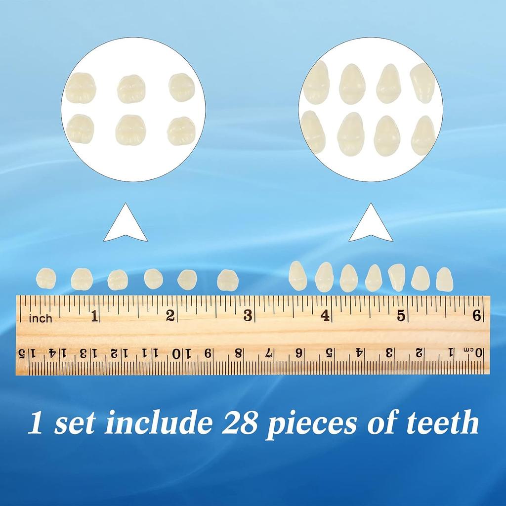 6 Sets Acrylic Resin Fake Teeth Artificial Teeth Denture Dental Tooth Prop Synthetic Resin Denture for Replacement DIY Halloween