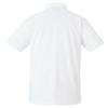 ZETT Baseball Polo White Size BOT83P Shirt, Button-Down, (1100), Small,