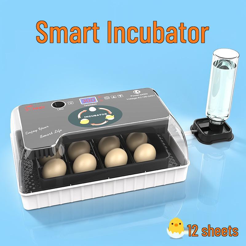 Smart Mini Egg Incubator for Parrots and Budgies: Automatic Pet Hatchery Equipment