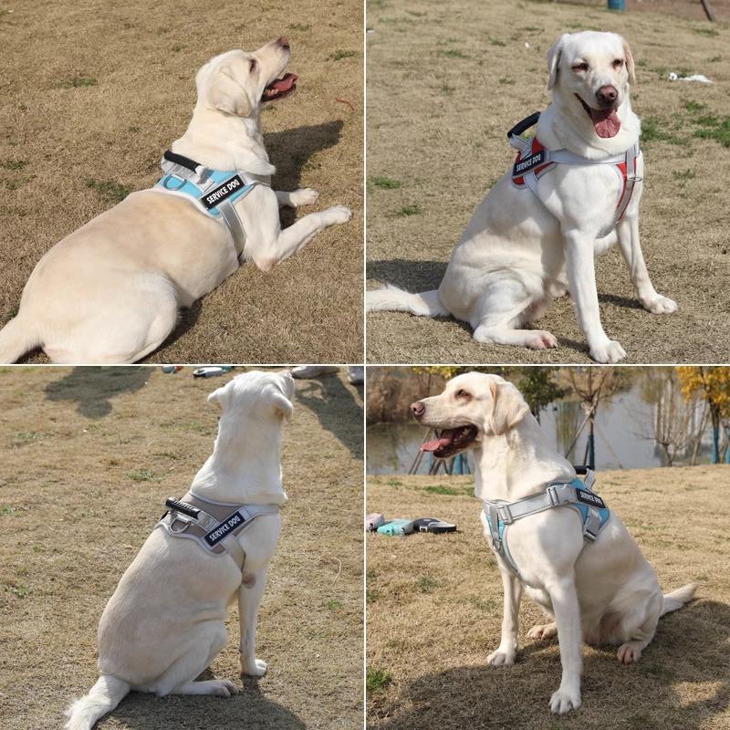 Dog Leash Explosion-proof Pet Chest and Back Strap, Medium and Large-sized Dog Anti-breakaway Dog Chest and Back Walking Leash