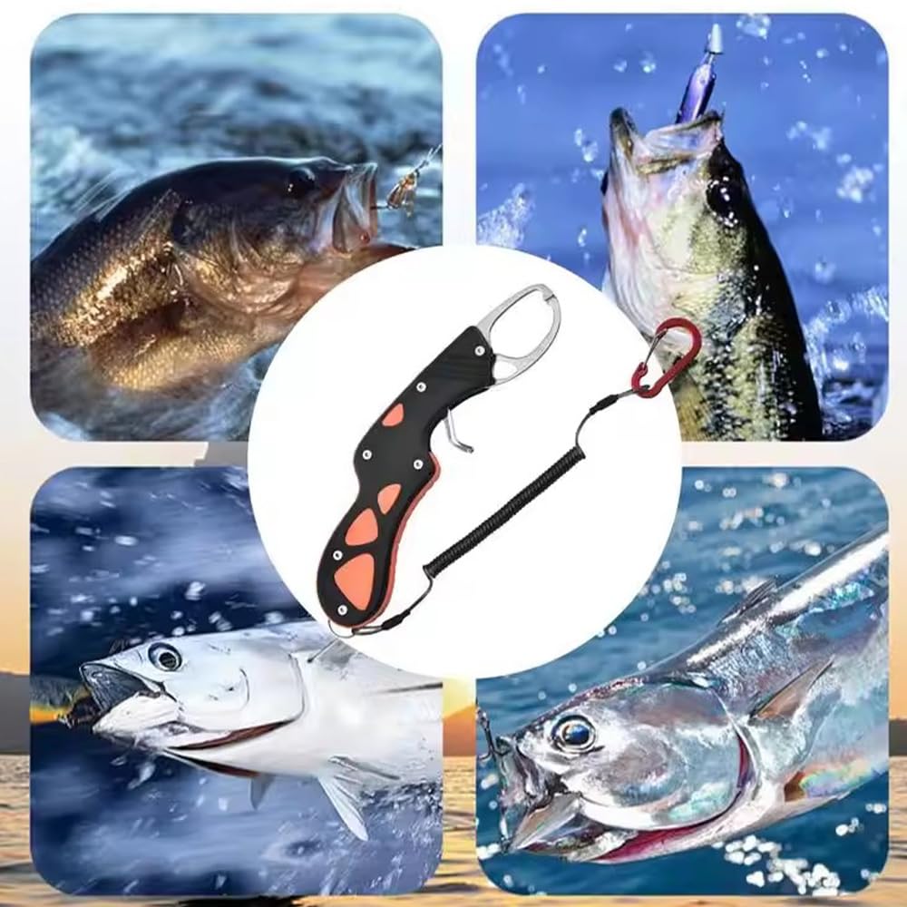 MTDDYMXLFG Fish Fishing Stainless with Rope and High Fish Saltwater Sea Pond Bass Offshore Boat Load Capacity 20kg Grip, Gear, Steel, Rustproof,