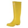 Regatta Womens/Ladies Ly Fairweather II Tall Durable Wellington Boots