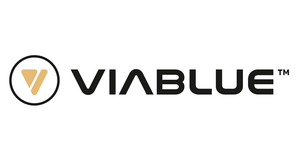 VIABLUE SILVER Cable EP-7 HIGH-END LAN/ETHERNET (CAT6A, 10GBASE-T Compatible) (5m)