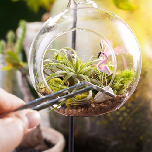 NOLITOY Stainless Steel Tweezers with Curved Tips, Garden Hand Tool for Succulents and Bonsai, 5 Pieces