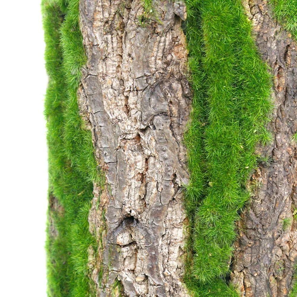 DIY Green Plant Bark Beautiful Water Pipe Pillar Cover Fake Tree Bark  Wall Decoration