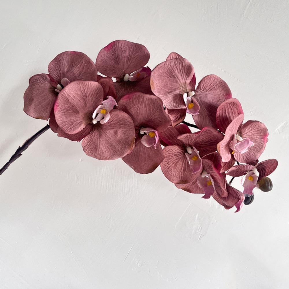 

10 Heads Artificial Butterfly Orchid Iron Wire Inner Lining Multi Color Fake Phalaenopsis Flower Real Touch 98cm кофейный