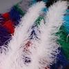 Fluffy Feather Trim For Clothes, Ostrich Feathers, Fluffy Boa, Shawl, Wedding Dress Decor, 2M Thick, 6 Layers