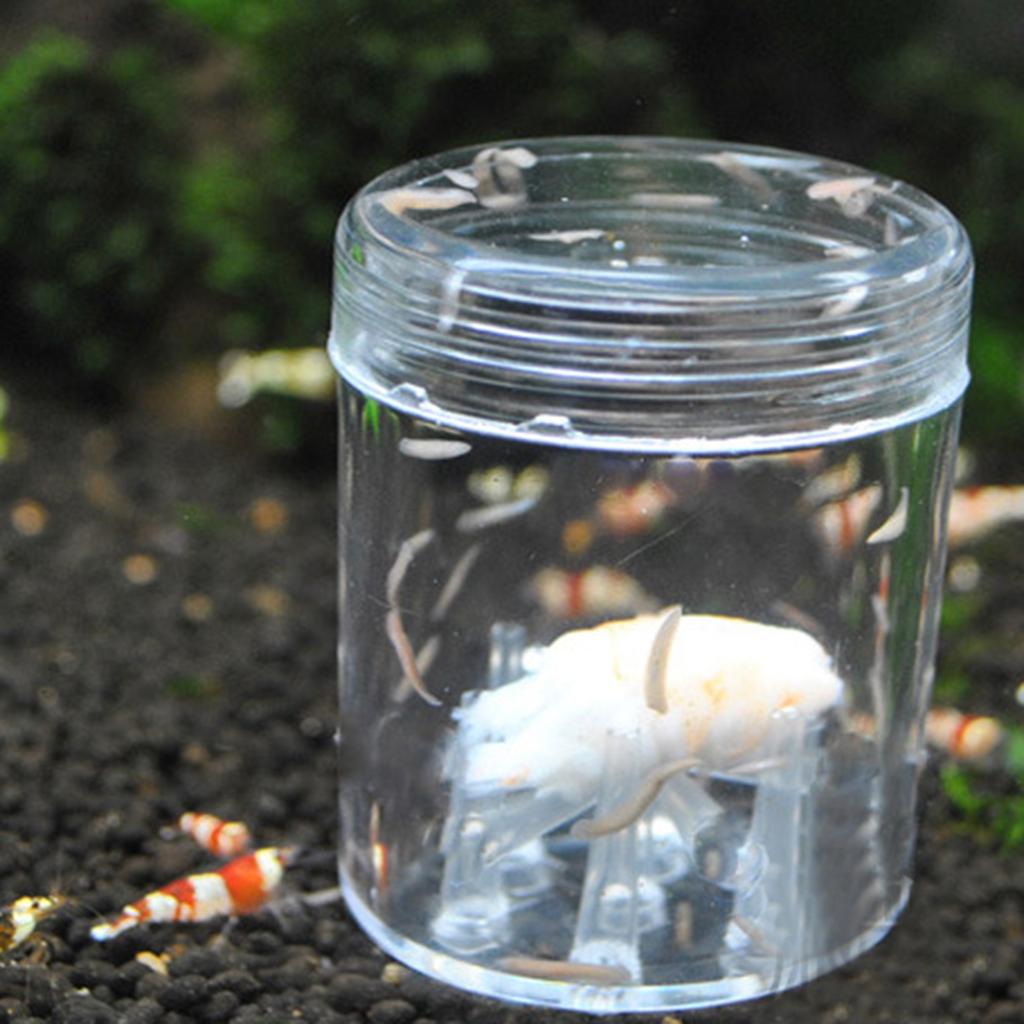 Planarienfalle Fangfalle Egel Fänger Aquarienzubehör Klare Acryl Planarienfallen 8 Löcher für Zwerggarnelen für T