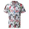Loses, lässiges Hawaii-Knopf-Kurzarm-bedrucktes Strandhemd für Herren