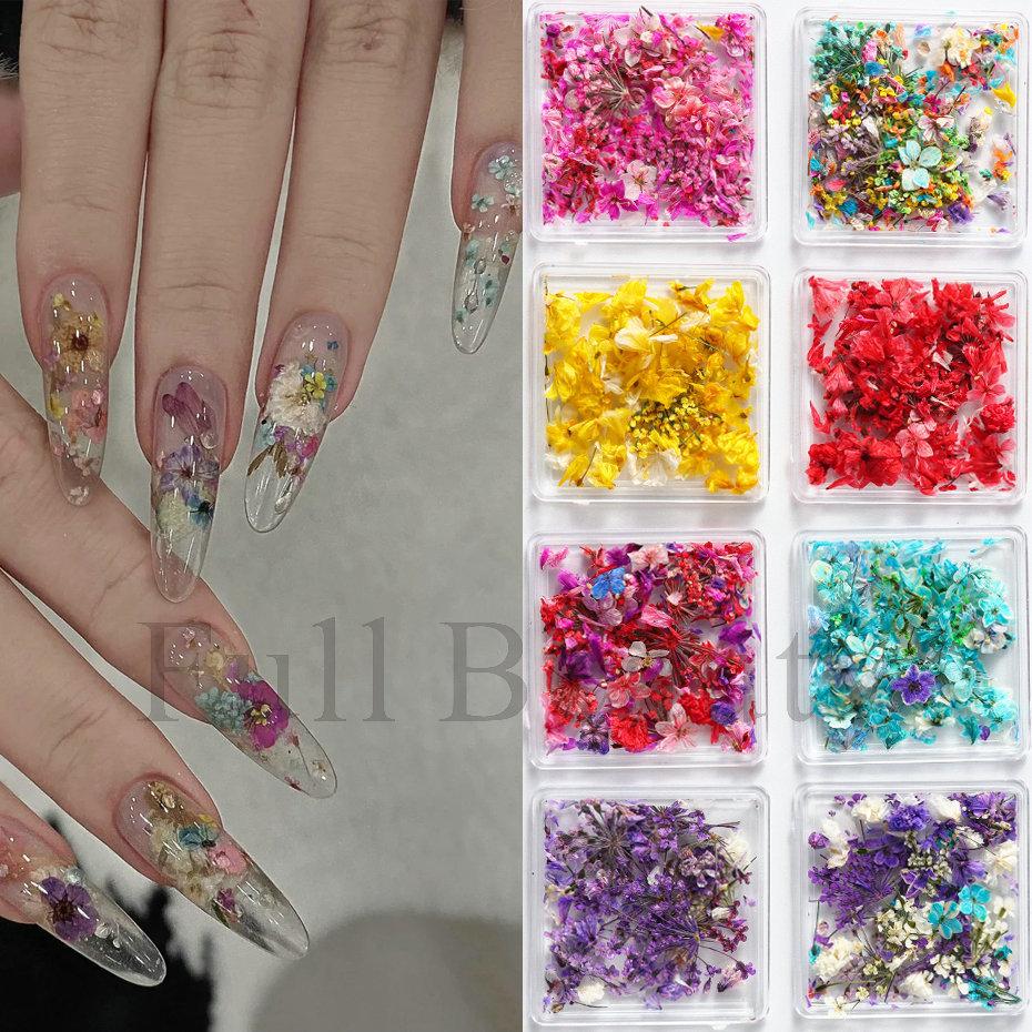 Nail Art Dried Flower, Japanese Monet Garden Color Scheme Petal Small Floral Mixed Nail Dried Flower