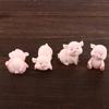 Home Ornament Naughty Micro Landscape Decoration Resin Craft Dollhouse Accessory Pig Miniature