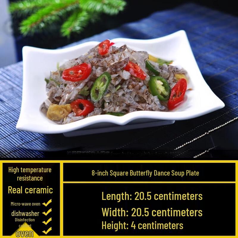 Ceramic Irregular Cold Dish & Salad Plate