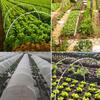 30Pcs Garden Hoops for Netting Tunnel, Garden Hoops Greenhouse Frame Flexible Tunnel Arch Crop Protection Hoops for Raised Beds